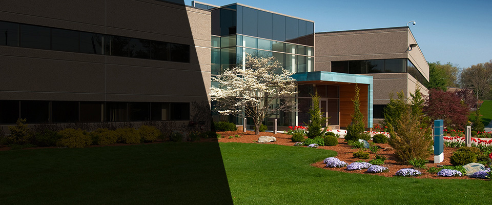 Ida Landscapers