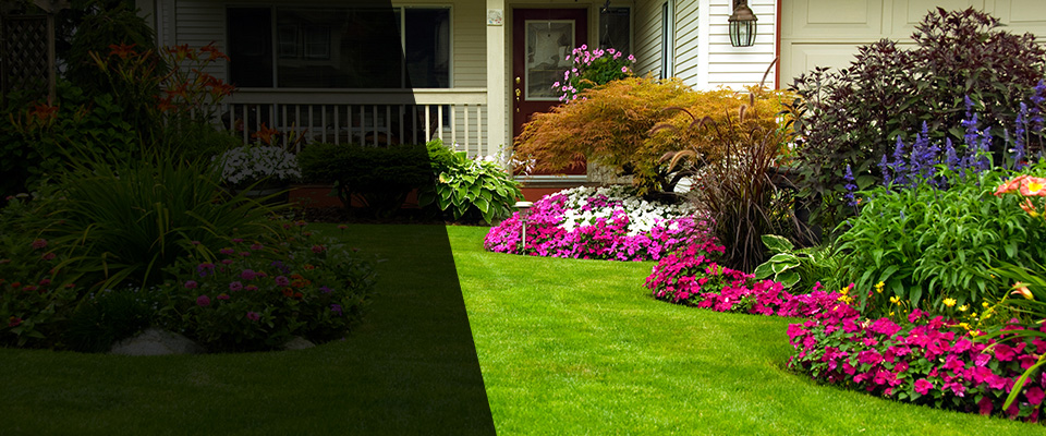 Ida Landscapers