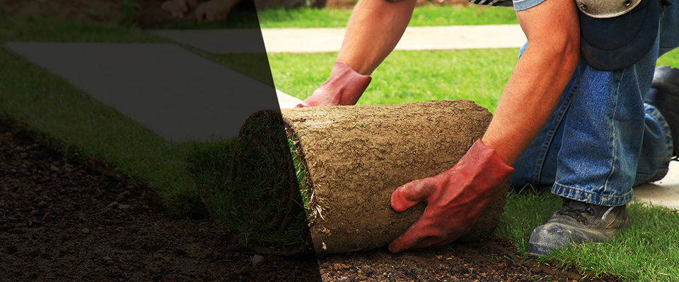 Ida Landscapers